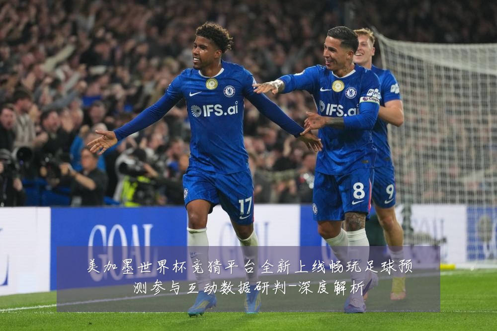 美加墨世界杯竞猜平台全新上线畅玩足球预测参与互动数据研判-深度解析