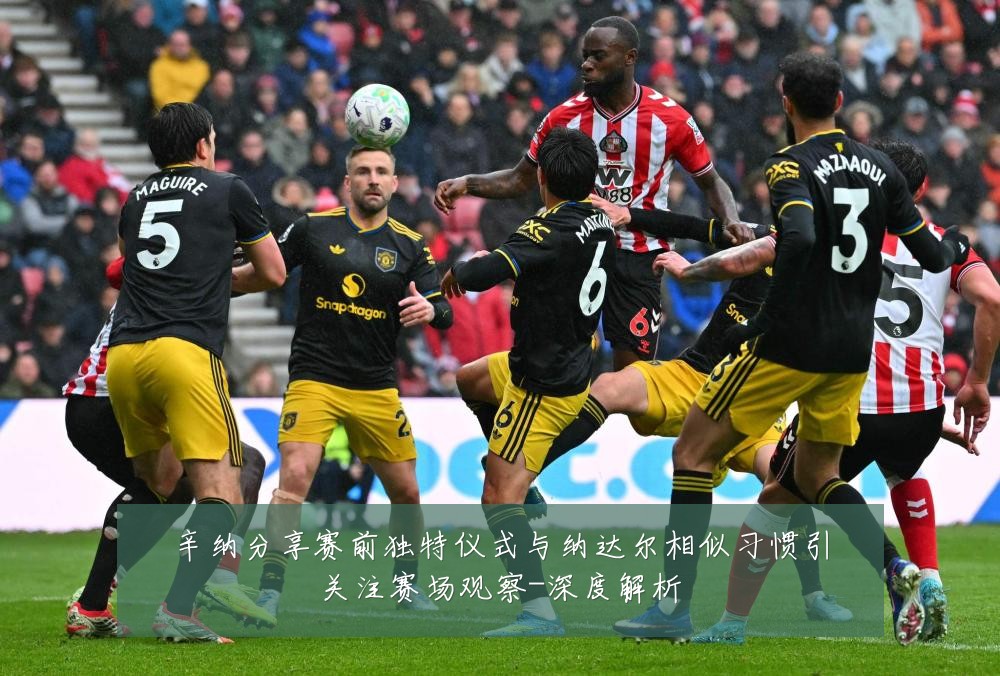 辛纳分享赛前独特仪式与纳达尔相似习惯引关注赛场观察-深度解析